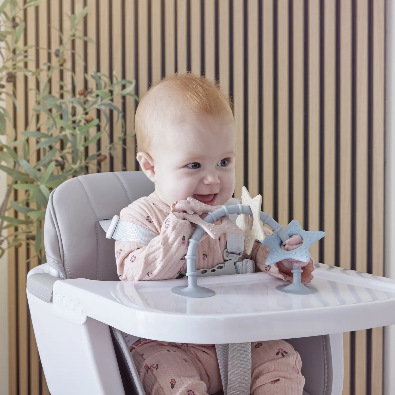 Shnuggle Stick n Play sanselegetøj stjerne silikone